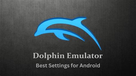 dolphin settings